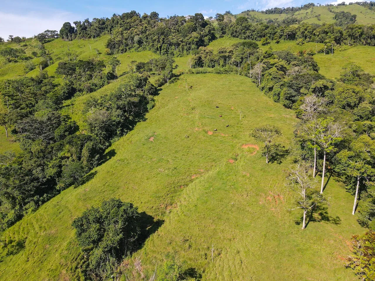 NATURAL PLAYGROUND – WATERFALL PROPERTY WITH SWIMMING HOLES AND SELF SUSTAINABILITY POTENCIAL  – 128 ACRES, photo 13