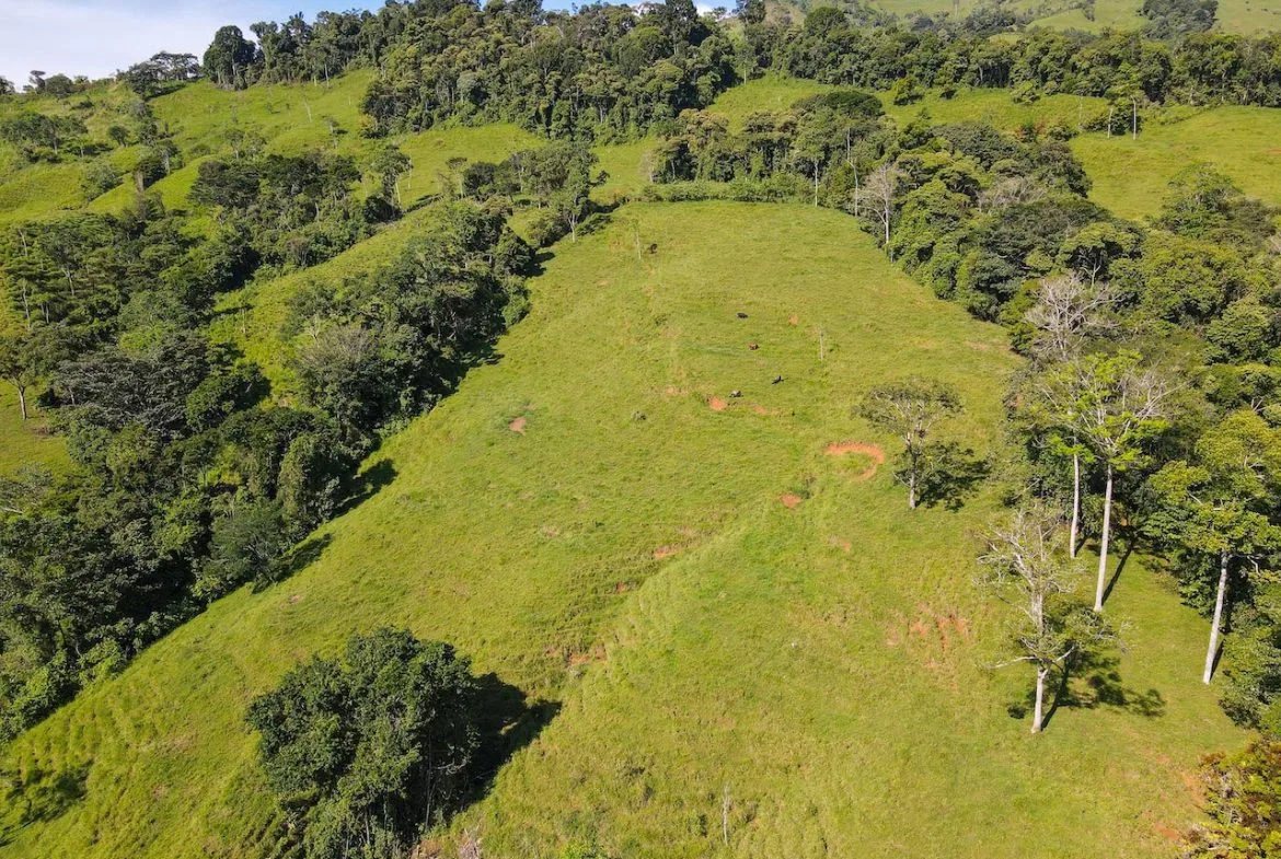 NATURAL PLAYGROUND – WATERFALL PROPERTY WITH SWIMMING HOLES AND SELF SUSTAINABILITY POTENCIAL  – 128 ACRES, photo 14