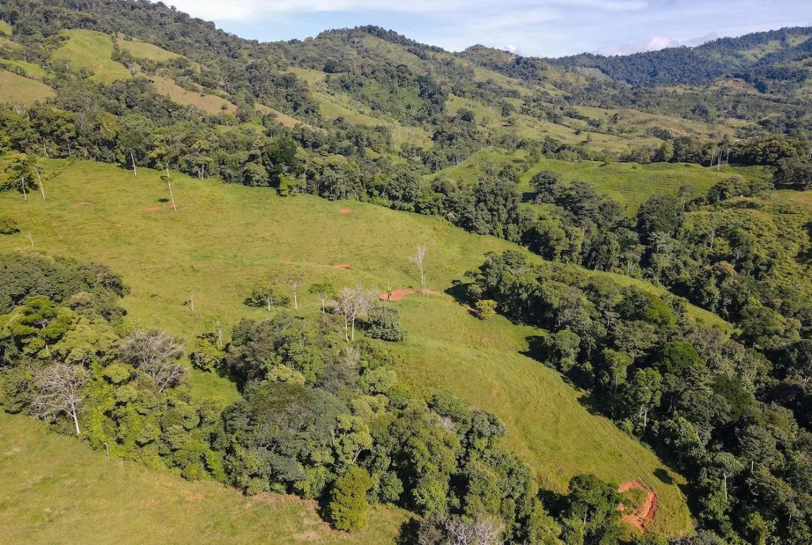 NATURAL PLAYGROUND – WATERFALL PROPERTY WITH SWIMMING HOLES AND SELF SUSTAINABILITY POTENCIAL  – 128 ACRES, photo 18