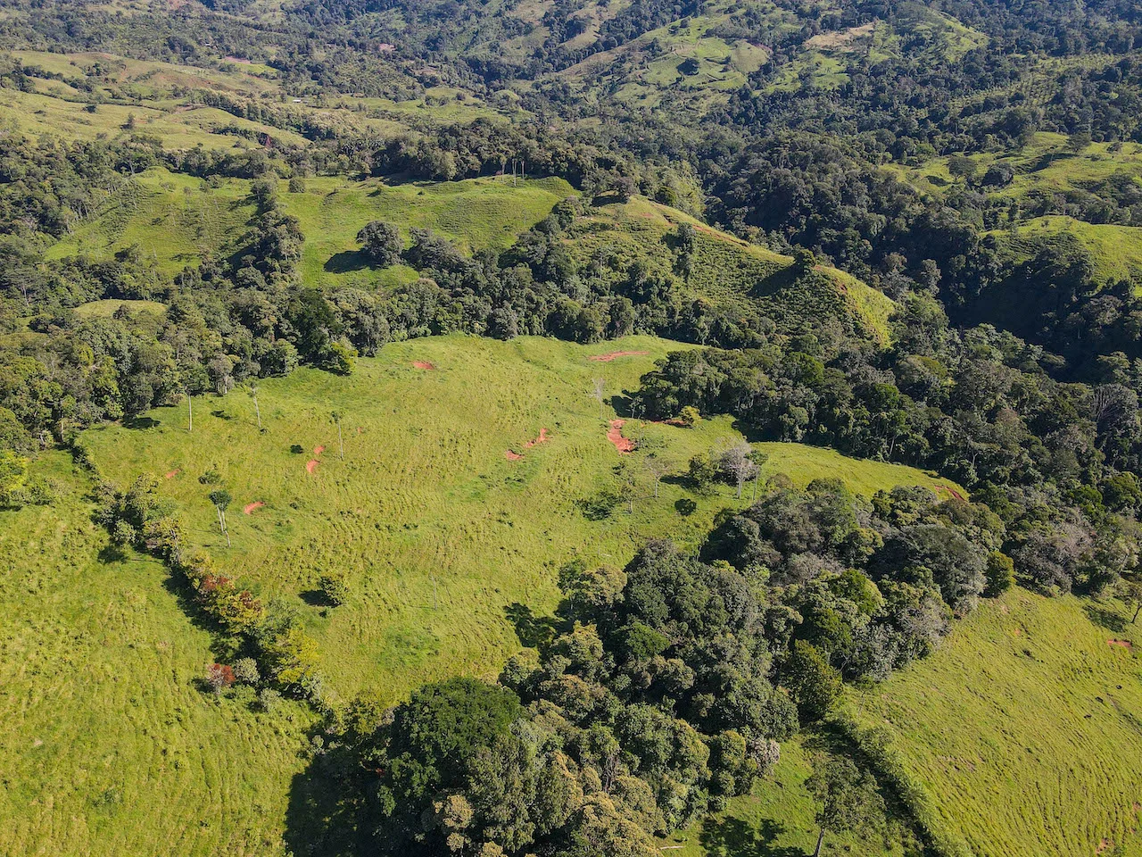 NATURAL PLAYGROUND – WATERFALL PROPERTY WITH SWIMMING HOLES AND SELF SUSTAINABILITY POTENCIAL  – 128 ACRES, photo 19