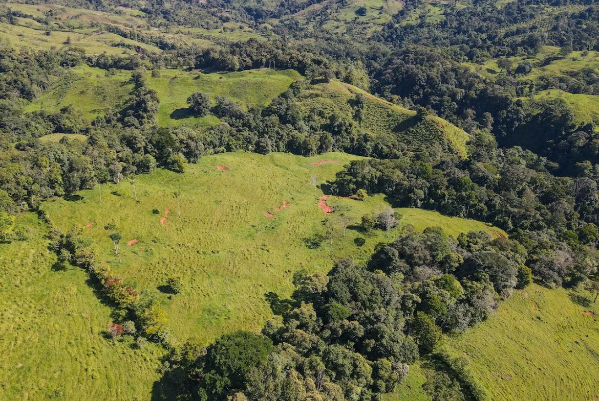 NATURAL PLAYGROUND – WATERFALL PROPERTY WITH SWIMMING HOLES AND SELF SUSTAINABILITY POTENCIAL  – 128 ACRES, photo 20