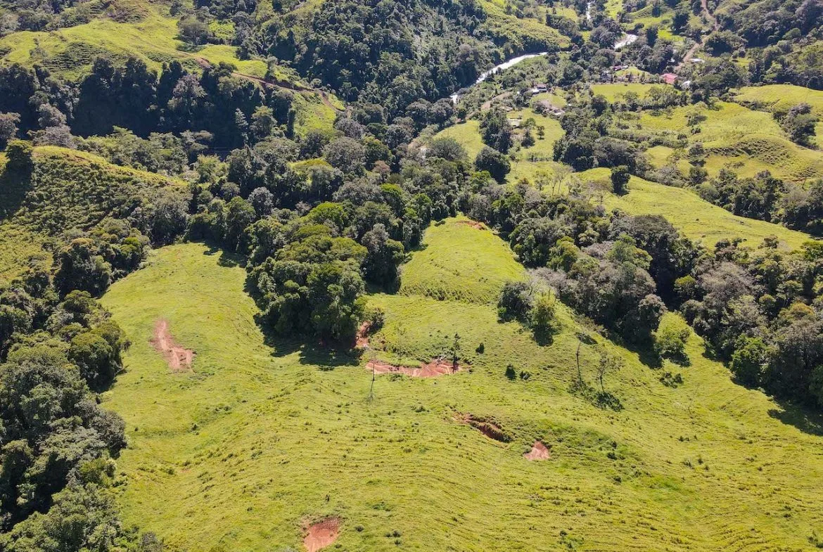 NATURAL PLAYGROUND – WATERFALL PROPERTY WITH SWIMMING HOLES AND SELF SUSTAINABILITY POTENCIAL  – 128 ACRES, photo 22