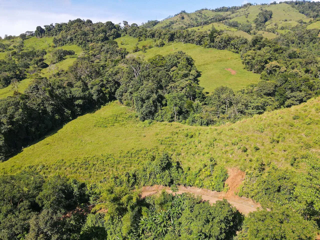 NATURAL PLAYGROUND – WATERFALL PROPERTY WITH SWIMMING HOLES AND SELF SUSTAINABILITY POTENCIAL  – 128 ACRES, photo 23
