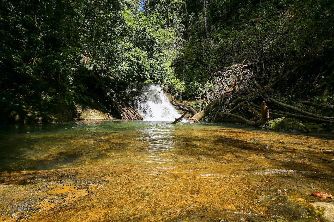 NATURAL PLAYGROUND – WATERFALL PROPERTY WITH SWIMMING HOLES AND SELF SUSTAINABILITY POTENCIAL  – 128 ACRES, photo 5