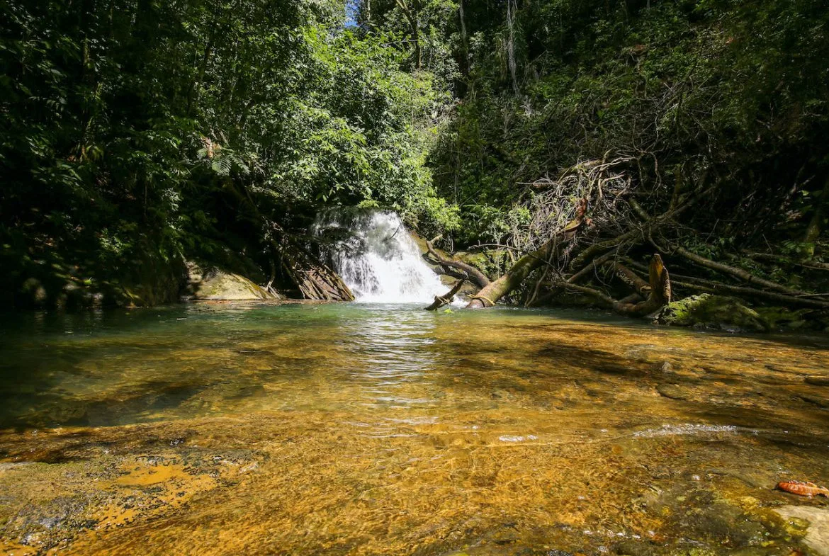 NATURAL PLAYGROUND – WATERFALL PROPERTY WITH SWIMMING HOLES AND SELF SUSTAINABILITY POTENCIAL  – 128 ACRES, photo 6