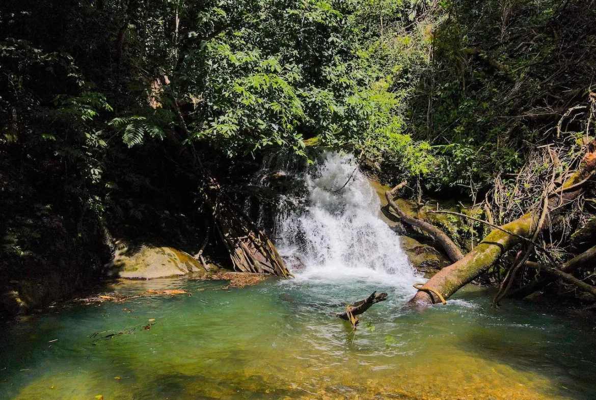 NATURAL PLAYGROUND – WATERFALL PROPERTY WITH SWIMMING HOLES AND SELF SUSTAINABILITY POTENCIAL  – 128 ACRES, photo 8