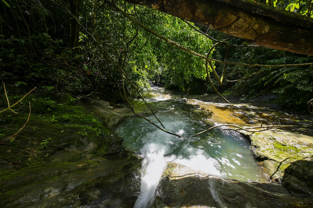 NATURAL PLAYGROUND – WATERFALL PROPERTY WITH SWIMMING HOLES AND SELF SUSTAINABILITY POTENCIAL  – 128 ACRES, photo 9