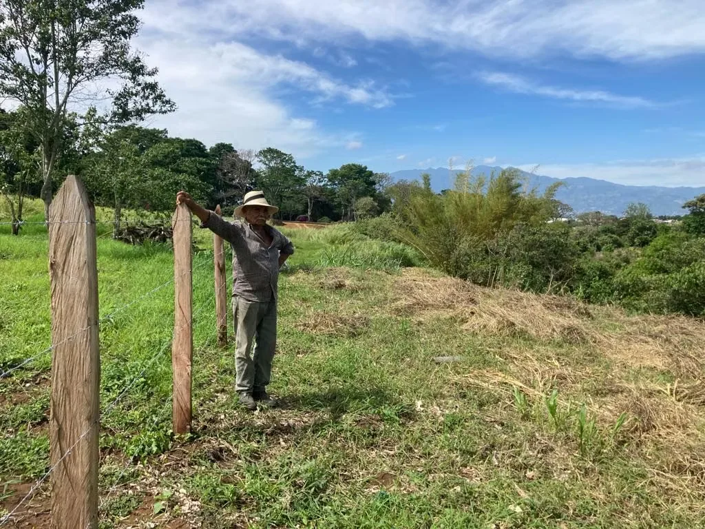 Ideal location, very quiet and secluded, a real refuge just ten minutes drive from the very center of Heredia.