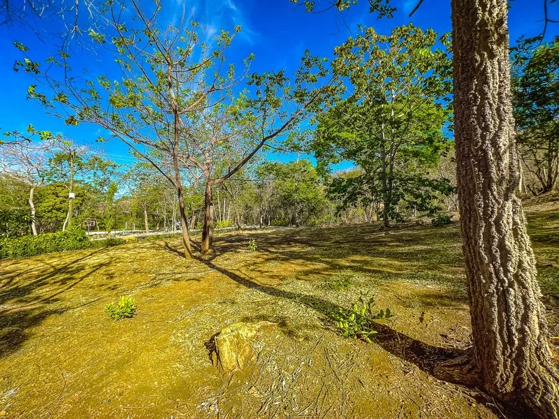 Land For Sale in Playa Grande, photo 9