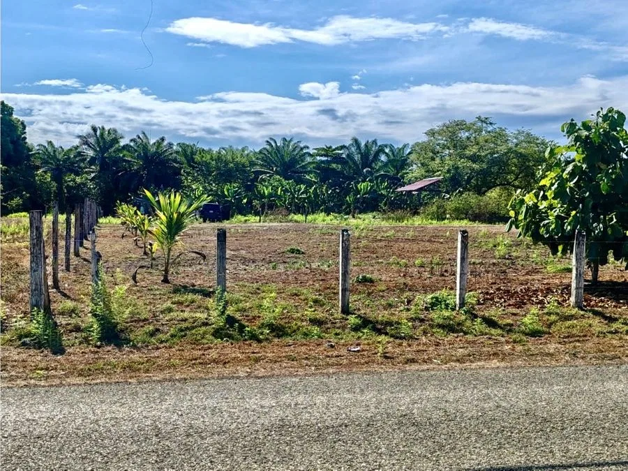 Terreno 4200 m² para desarrollo cerca de Playa Palo Seco, Parrita