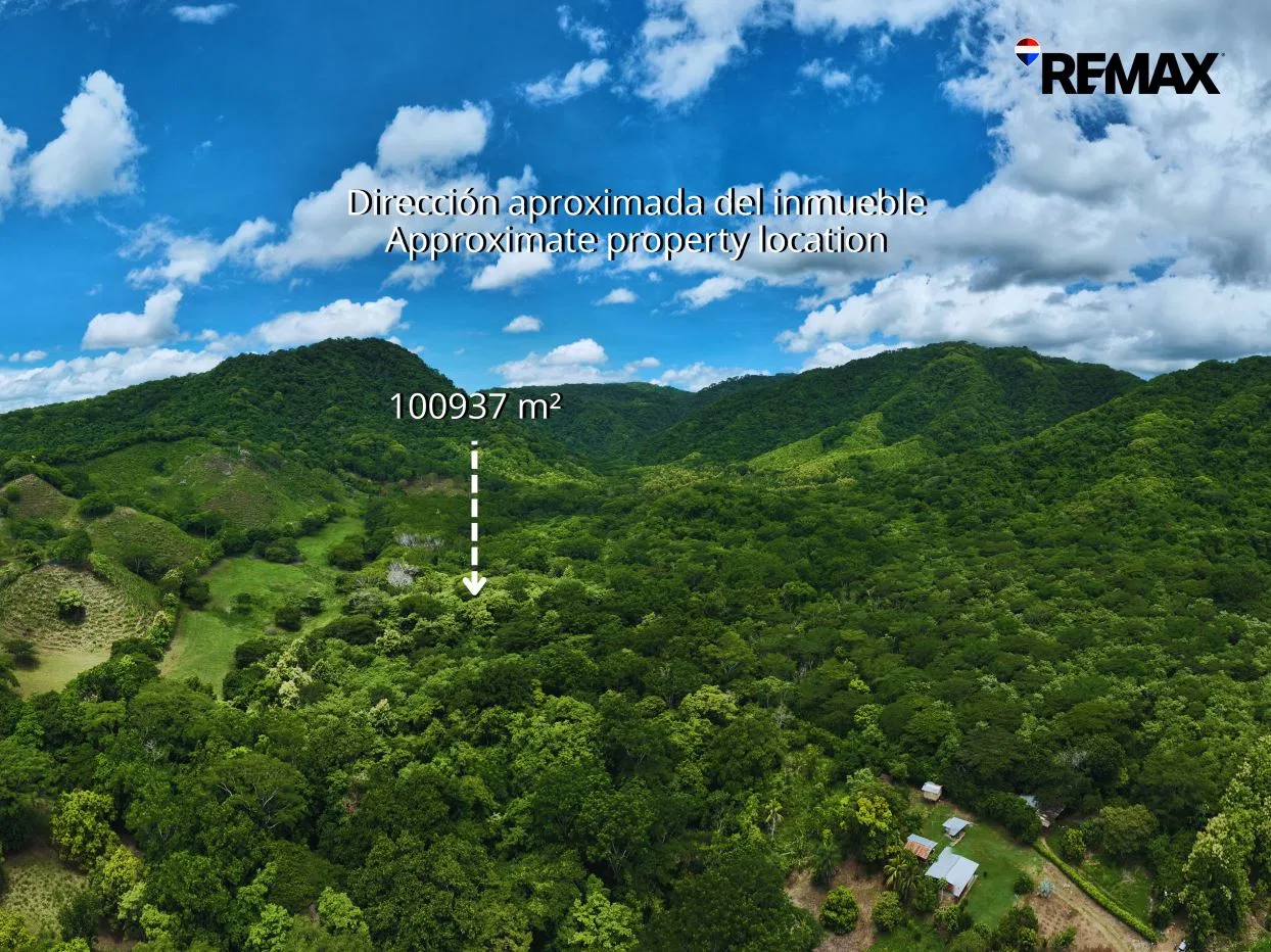 10.09-Hectare Cacao Plantation with Active Production in Pilas de Canjel