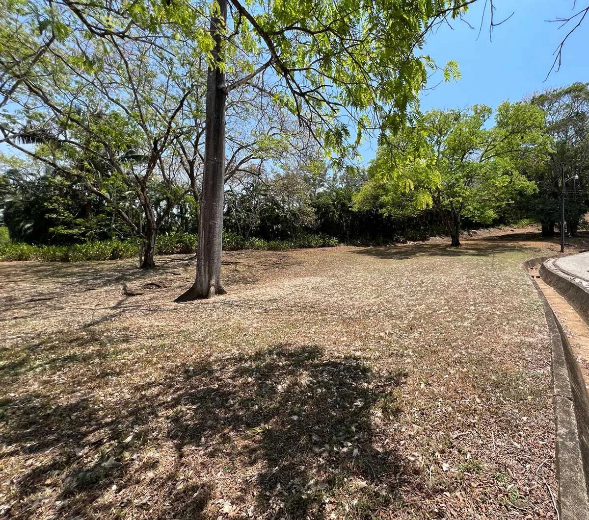 Loma Verde 29 - Gated Community Building Lot, photo 9
