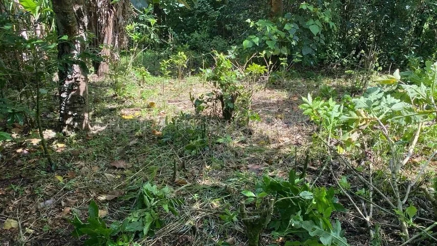 Venta de Lote en Santo Domingo-San Miguel. RAH 27-740 - Venta en Santo Domingo
