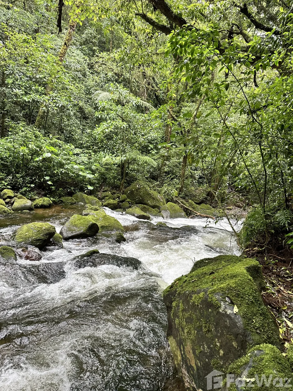 Land for Sale in San Carlos, Alajuela for $218,000