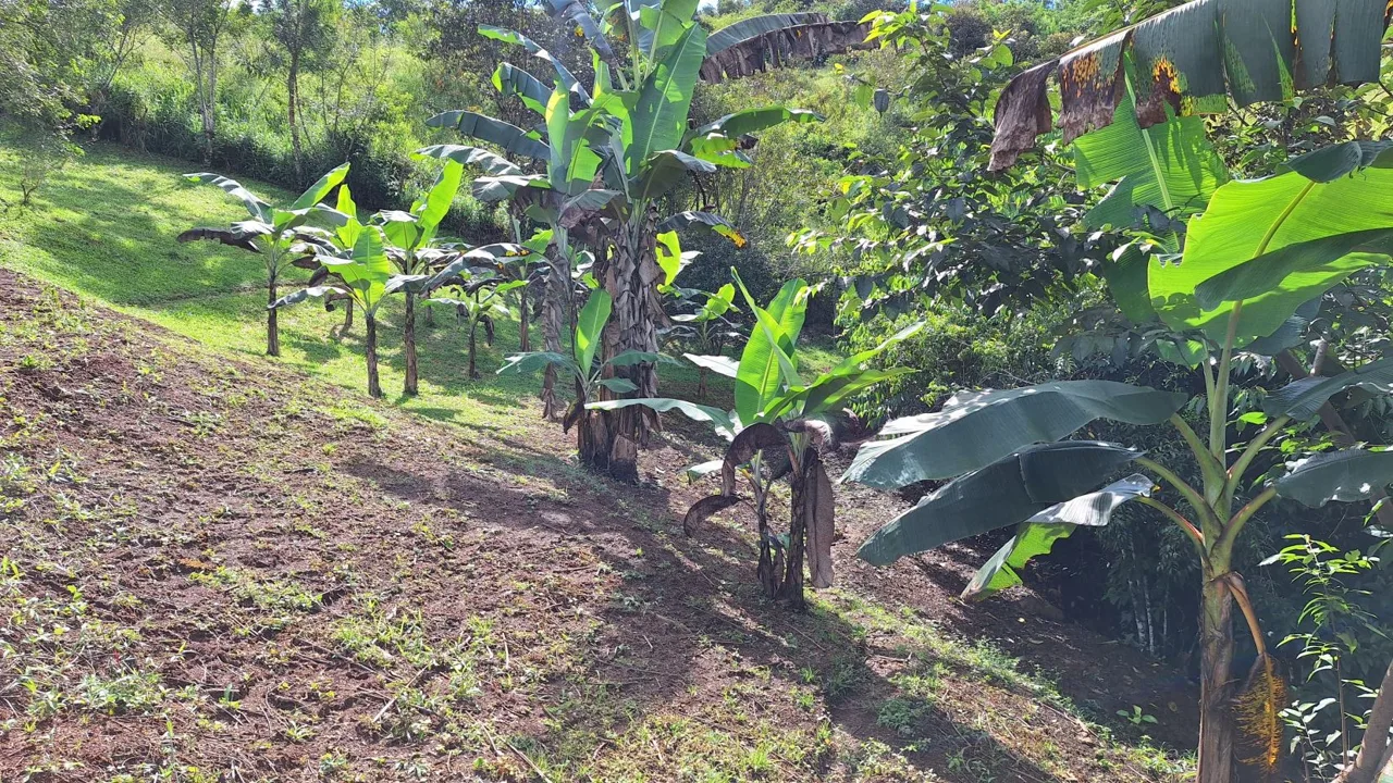 Sustainable Lot For Sale in the privacy of Perez Zeledon, Rosario De Pacuar, photo 9