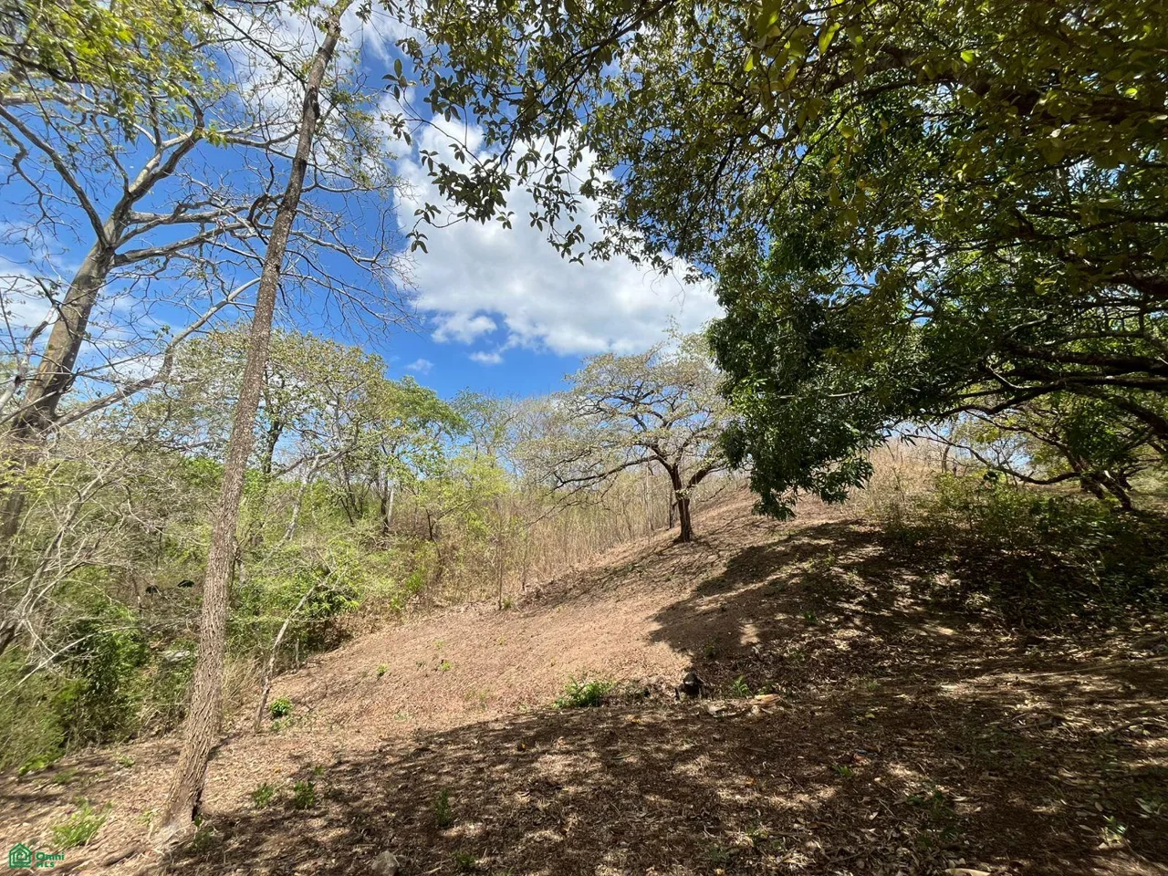 Playa Grande Cabo Velas Guanacaste, photo 5