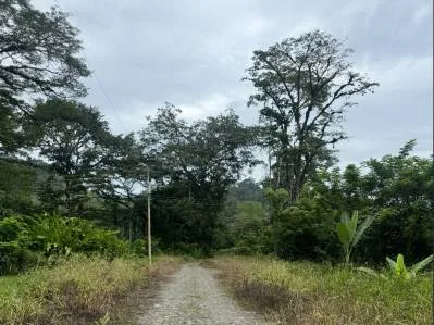 Desarrollo Sostenible entre Puerto viejo y Cahuita