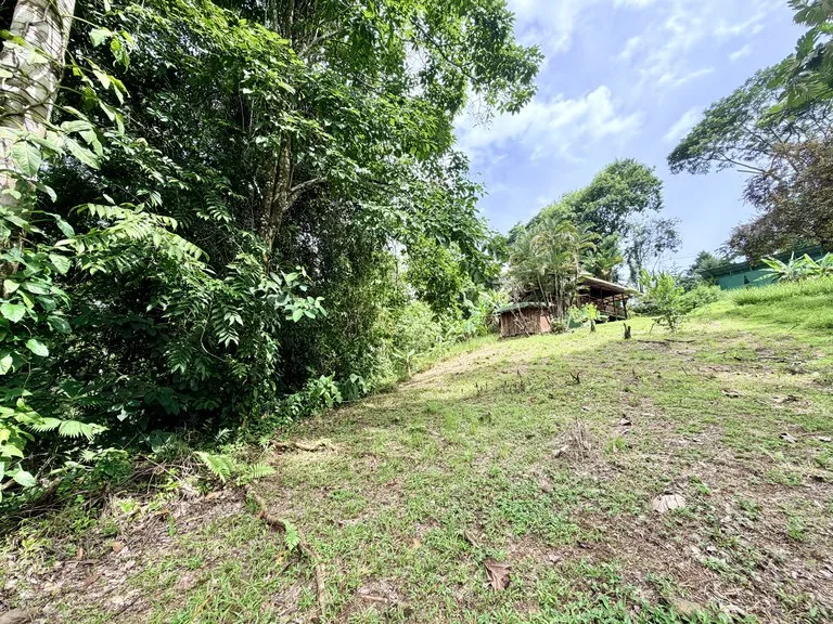 La Unión Road Development – Buildable Lots with River Access in Uvita, photo 14