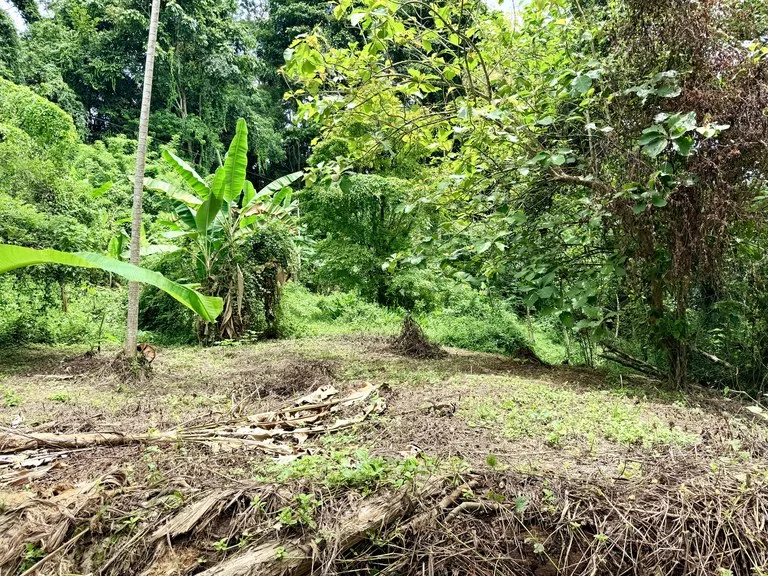 La Unión Road Development – Buildable Lots with River Access in Uvita, photo 4