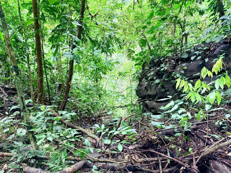 La Unión Road Development – Buildable Lots with River Access in Uvita, photo 6