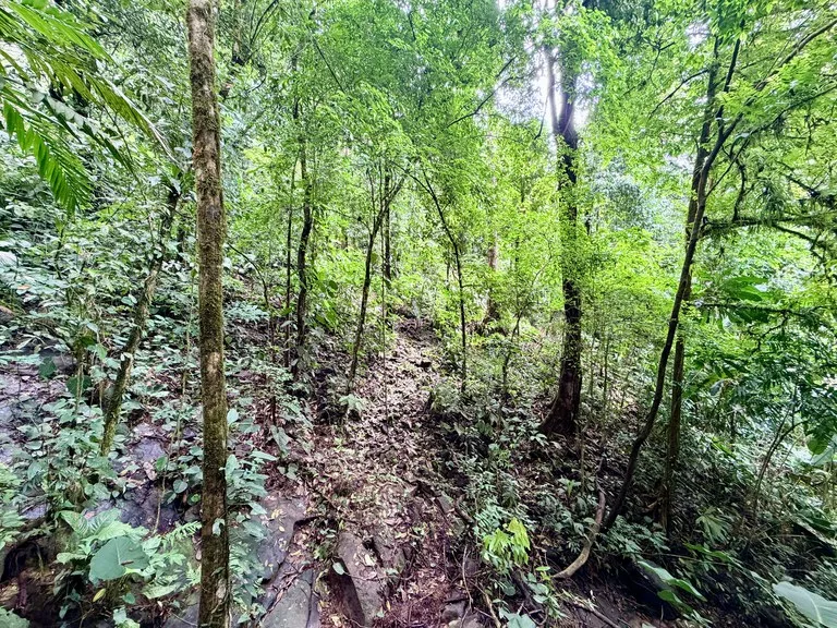 La Unión Road Development – Buildable Lots with River Access in Uvita, photo 7