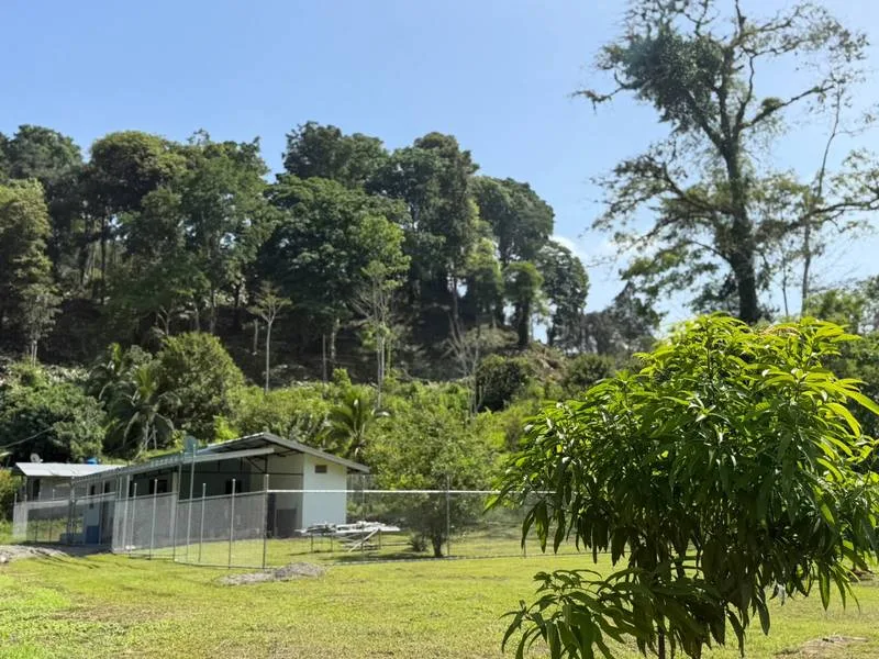 2 Bed Single Family Homes For Sale in Puerto Viejo