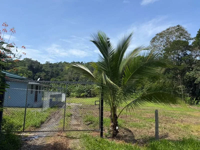 2 Bed Single Family Homes For Sale in Puerto Viejo, photo 3