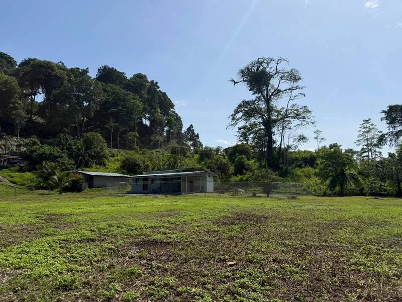 2 Bed Single Family Homes For Sale in Puerto Viejo, photo 4