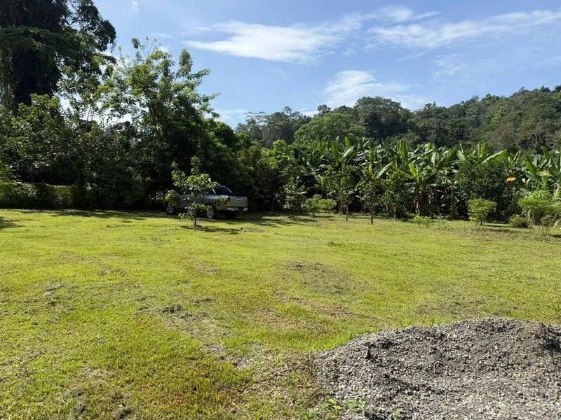 2 Bed Single Family Homes For Sale in Puerto Viejo, photo 5