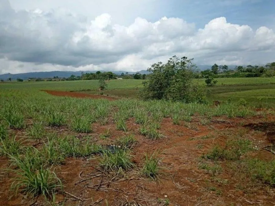 Venta de Lote en Pérez Zeledón, San José. RAH 25-206 - Venta en Perez Zeledón, photo 2