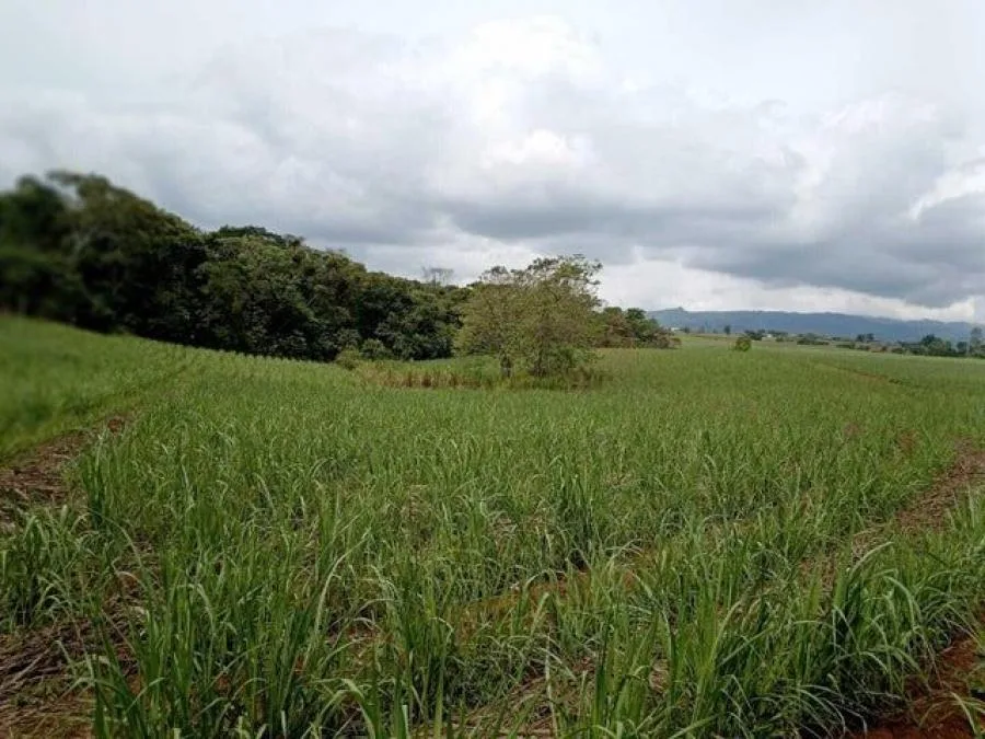 Venta de Lote en Pérez Zeledón, San José. RAH 25-206 - Venta en Perez Zeledón, photo 3