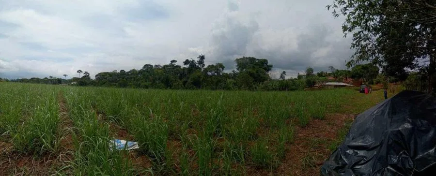 Venta de Lote en Pérez Zeledón, San José. RAH 25-206 - Venta en Perez Zeledón, photo 4