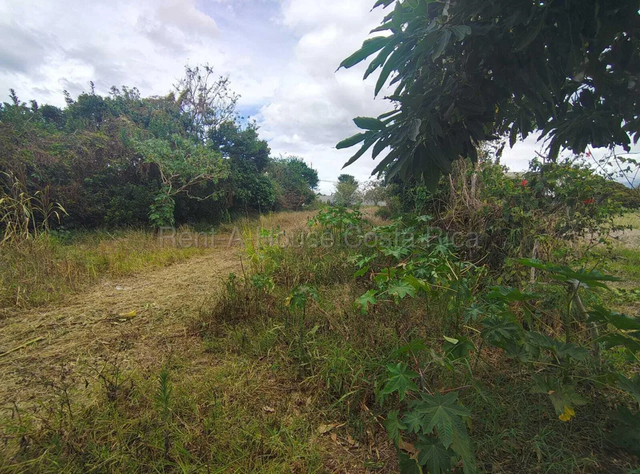 Lote en Venta en Desamparados ,Alajuela, photo 5