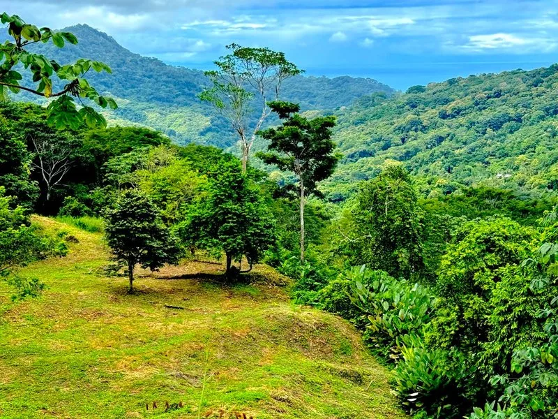 Land For Sale in Dominical, photo 2