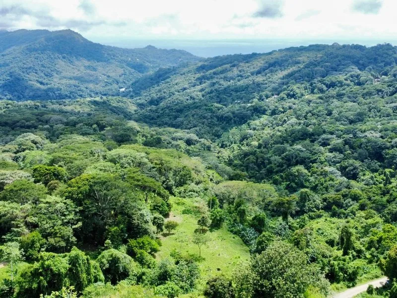 Land For Sale in Dominical, photo 11