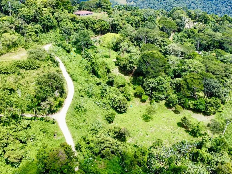 Land For Sale in Dominical, photo 12