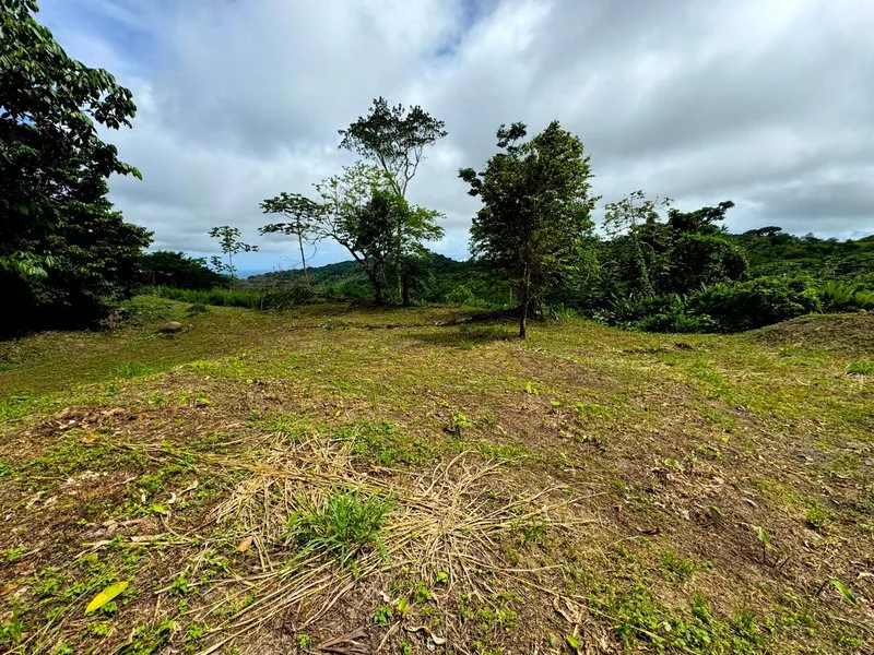 Land For Sale in Dominical, photo 4