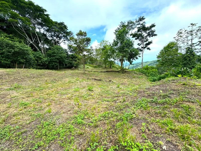 Land For Sale in Dominical, photo 5