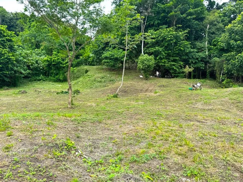 Land For Sale in Dominical, photo 6