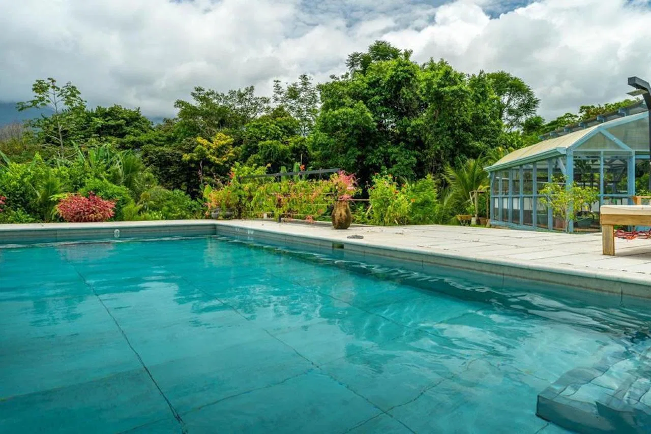 JUNGLE VIEW 3 BEDROOM HOME – 0.86 ACRES, photo 7