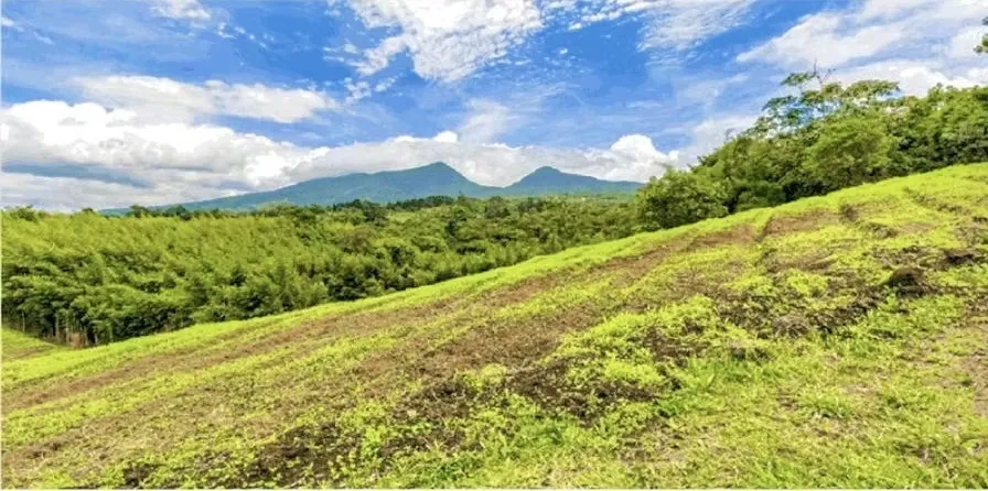 8-HECTARE FARM FOR SALE – ROUTE 32, SAN JERÓNIMO DE MORAVIA – RIVER AND DEVELOPMENT POTENTIAL, photo 2