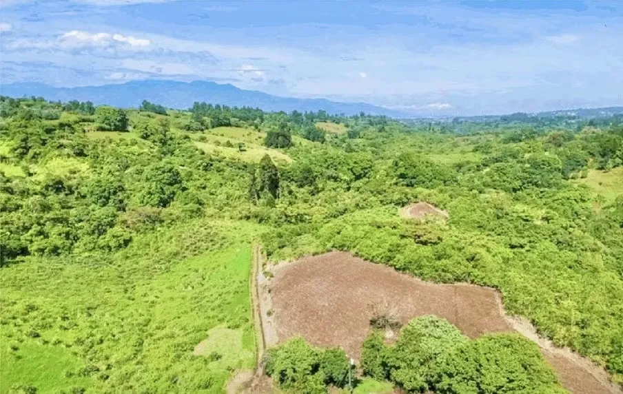 8-HECTARE FARM FOR SALE – ROUTE 32, SAN JERÓNIMO DE MORAVIA – RIVER AND DEVELOPMENT POTENTIAL, photo 12