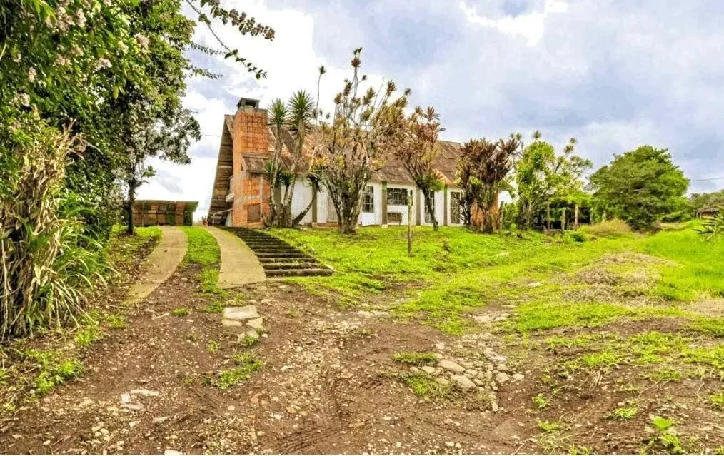 8-HECTARE FARM FOR SALE – ROUTE 32, SAN JERÓNIMO DE MORAVIA – RIVER AND DEVELOPMENT POTENTIAL, photo 3