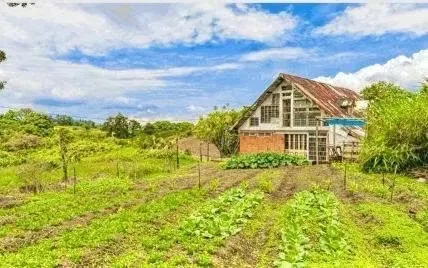 8-HECTARE FARM FOR SALE – ROUTE 32, SAN JERÓNIMO DE MORAVIA – RIVER AND DEVELOPMENT POTENTIAL, photo 5