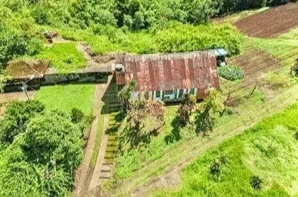 8-HECTARE FARM FOR SALE – ROUTE 32, SAN JERÓNIMO DE MORAVIA – RIVER AND DEVELOPMENT POTENTIAL, photo 6