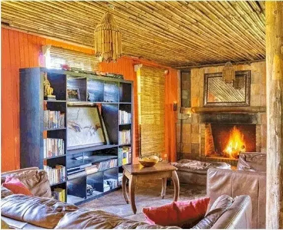 8-HECTARE FARM FOR SALE – ROUTE 32, SAN JERÓNIMO DE MORAVIA – RIVER AND DEVELOPMENT POTENTIAL, photo 7