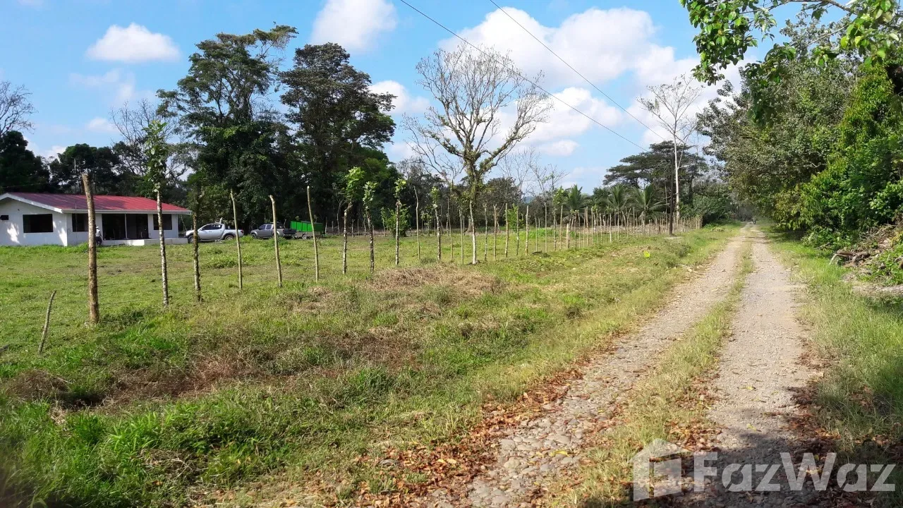 Land for Sale in Sarapiqui, Heredia for $349,000