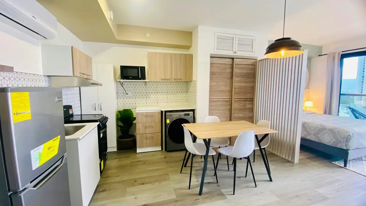 Fully furnished apartment for rent in Barrio Escalante, Torre Ser Escalante, photo 8