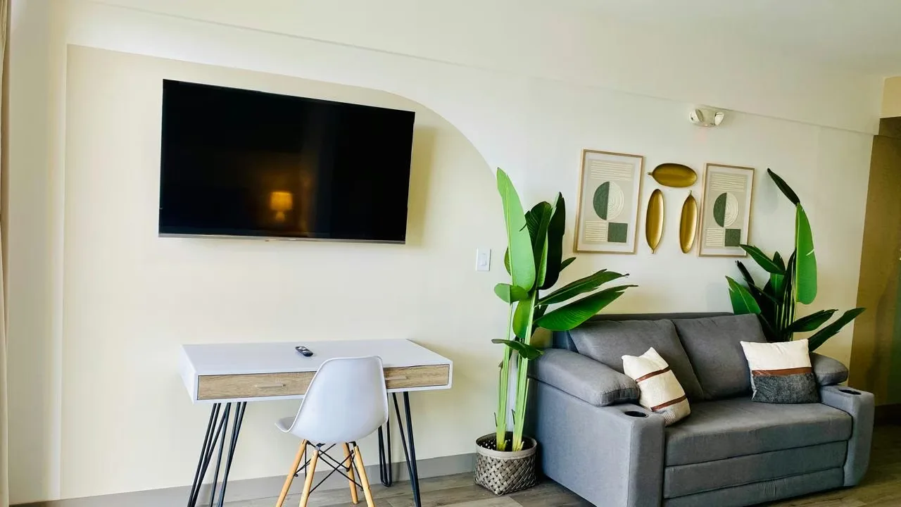 Fully furnished apartment for rent in Barrio Escalante, Torre Ser Escalante, photo 10