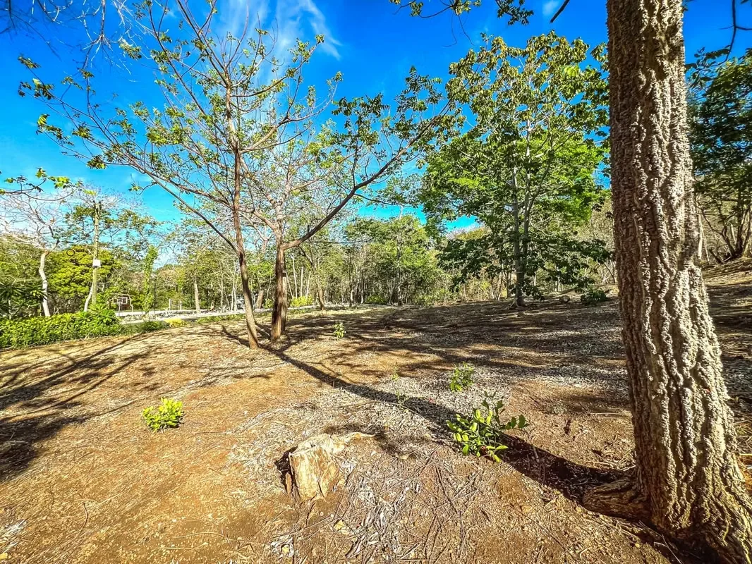 ¡Gran oportunidad! Lote en venta en el exclusivo Residencial Las Ventanas, Playa Grande, Guanacaste. Cuenta con una ubicación privilegiada dentro del residencial, cerca de importantes ...